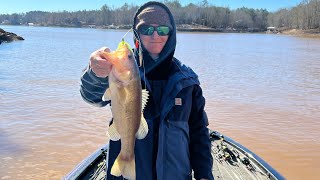 Wedowee Alabama Bass Fishing in February [upl. by Aneeram3]