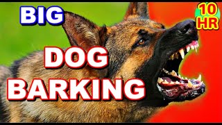 Dog barking 10 HOURS [upl. by Anelat]