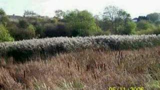 BLACK BOBBIES NATURE RESERVE [upl. by Dowd]