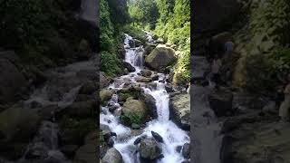 Kurseong waterfall  झरना [upl. by Arhsub402]