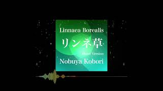 November 10 2024  Linnaea Borealis リンネ草 Short Version  Nobuya Kobori Original Piano Shorts [upl. by Kirbie]