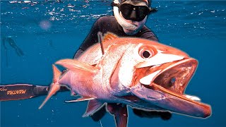 Spearfishing RARE DEEP WATER Fish in Remote Hawaii World Record [upl. by Ahsimit]