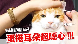 【好味小姐】蛋捲耳朵超噁心！？來幫貓咪清耳朵｜好味貓日常EP80 [upl. by Ylera109]