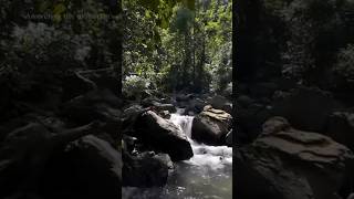 Pasighat Siriki Waterfall Arunachal Pradesh [upl. by Darcy489]