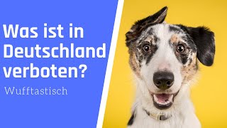 Was ist in Deutschland verboten ▶︎ HundeEdition ⛔️ [upl. by Power]