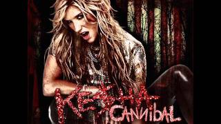 Kesha  Cannibal Remix [upl. by Rehctaht]