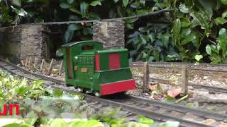 Peckforton Light Railway  Runaway Rustons [upl. by Derick385]