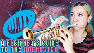 A Beginner’s Guide to the Orchestra Part 1 [upl. by Yesnyl]