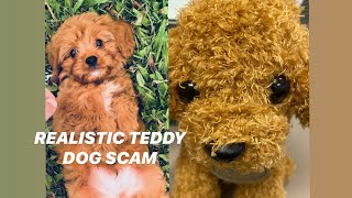 REALISTIC TEDDY DOG LUCKY  I GOT SCAMMED [upl. by Ken]