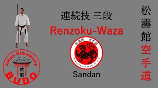 RenzokuWaza Sandan  連続技 三段 [upl. by Saidnac]