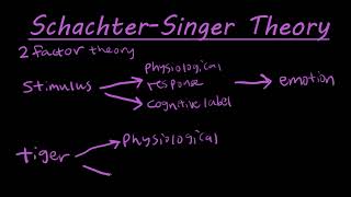 The SchachterSinger two factor theory of emotion explained [upl. by Ahtanamas]