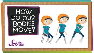 How Do Our Bodies Move [upl. by Rikki]