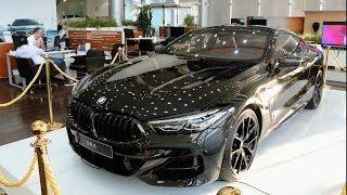 NEW 2019 BMW M850i  First Impressions amp Full Review [upl. by Sellihca124]