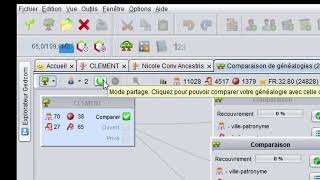 Ancestuto  Comparaison Généalogie v1 [upl. by Radborne]
