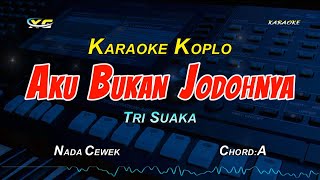 AKU BUKAN JODOHNYA KARAOKE KOPLO NADA CEWEK [upl. by Lowell490]