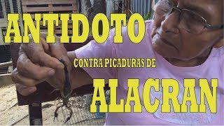 Antidoto contra picadura de Alacran dolor de Huesos y Oidos [upl. by Ron32]