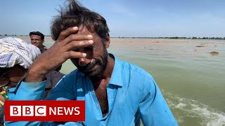 Pakistan floods Time running out for families in Sindh  BBC News [upl. by Briggs17]