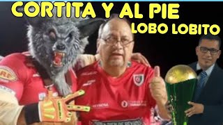 LOBO LOBITO 🐺 EN quotCORTITA Y AL PIEquot CONOZCAMOS MEJOR AL GRAN NARRADOR QUE CONQUISTA FRONTERAS [upl. by Zehc]