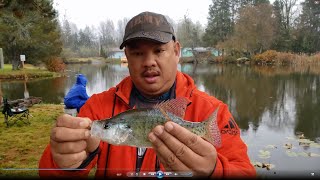 Crappie amp Pan Fish Fishing in Silver Lake Washington [upl. by Krein]