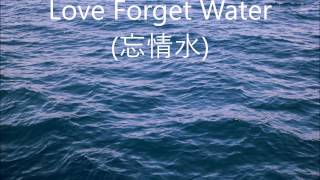 忘情水 Love Forget Water  劉德華 Andy Lau  English lyrics [upl. by Bick]