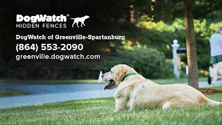 DogWatch® of GreenvilleSpartanburg  Your Local Electronic Dog Fence Experts [upl. by Haliek]