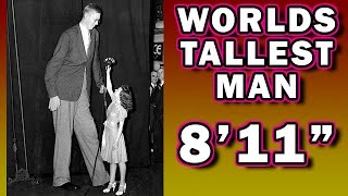 Worlds Tallest Man 8 11quot Biggest Strongest Robert Wadlow [upl. by Streeter]