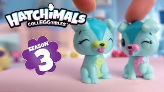 Hatchimals Colleggtibles  NEW Season 3  15 Twins Commercial [upl. by Rexanna]