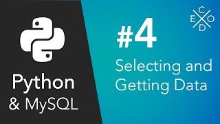 Python and MySQL  Selecting and Getting Data [upl. by Yelime388]