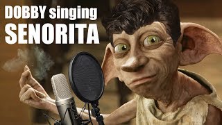 Dobby singing Señorita [upl. by Fallon]