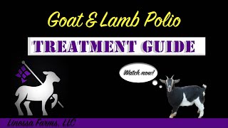 Sick Goat and Lamb Can’t Get Up Polio A Comprehensive Treatment Guide [upl. by Tuppeny358]