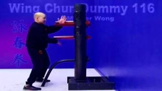 wing chun dummy training wooden dummy  Lesson 1 [upl. by Accalia]