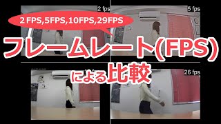 フレームレート（FPS）による動画の違いは？ [upl. by Hill]