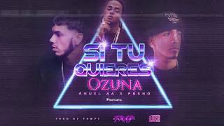 Ozuna x Anuel AA x Pusho  Si Tu Quieres [upl. by Aven]