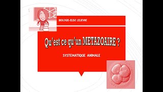 Présentation des Métazoaires [upl. by Adlesirc109]