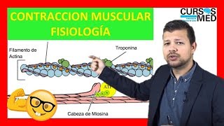 CONTRACCIÓN MUSCULAR FISIOLOGÍA GUYTON explicada FACIL ✅ [upl. by Norym344]