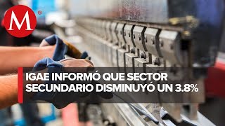 Actividad económica de México se estancó en febrero Inegi [upl. by Cathlene953]