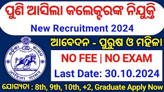 Odisha Collector Office Recruitment 2024Odisha Govt Job Recruitment 2024Odisha Job Vacancy 2024 [upl. by Naaman]