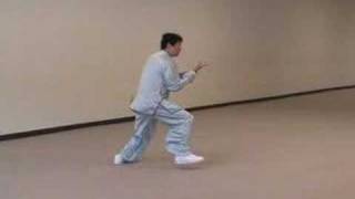 Baguazhang Bagua Palm Form and Applications 八卦掌套路及應用 [upl. by Joy]