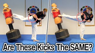 Is the Spin Back Kick amp Spin Side Kick the SAME  GNT Taekwondo Tutorial [upl. by Nali]