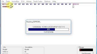 Read Damp with VAG EEPROM Programmer [upl. by Anauqal]