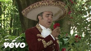 Vicente Fernández Hijo  Desde Que Tú Te Fuiste [upl. by Rodrique]