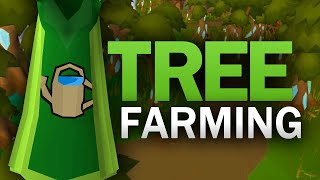 Complete Tree Farming Guide for OSRS [upl. by Sudnor]