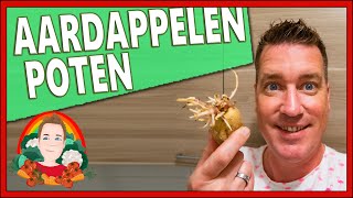 ALLES OVER AARDAPPELEN KWEKEN  Moestuin vlog 157  aardappelen planten aardappelen kweken [upl. by Britteny]