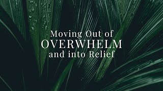 Need Relief from the overwhelm of food and health needs Lets zoom out [upl. by Ellerrad]