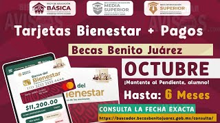 Coordinación Nacional de Becas tiene información de Beca revisa tu correo y Buscador de Estatus [upl. by Aneral]