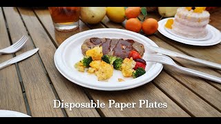 100 Compostable 9 Inch Paper Plates 125Pack HeavyDuty Plate Natural Disposable Bagasse Plate [upl. by Anyl]