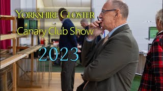 Champion Gloster Canary Club Show 2023 [upl. by Yanarp955]