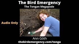 086 Tongan Megapode with Ann Goth [upl. by Cantu]