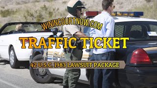 Learn How To Control The Traffic Court Zoom Hearing [upl. by Lativa]