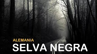 Selva negra Alemania 2019 [upl. by Ahgem]